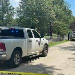 estados unidos, carolina del sur, perros, ataque,