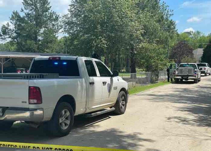 estados unidos, carolina del sur, perros, ataque,