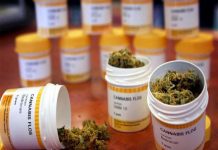 Colombia: Aprueban uso de marihuana con fines medicinales