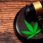 Corte Suprema de México despenaliza el uso lúdico de la marihuana mexico, marihuana, sociedad, drogas,
