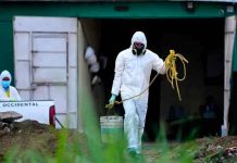 Descubren más fosas clandestinas en patio de expolicía salvadoreño el salvador, fosas, homicidios, criminalidad,