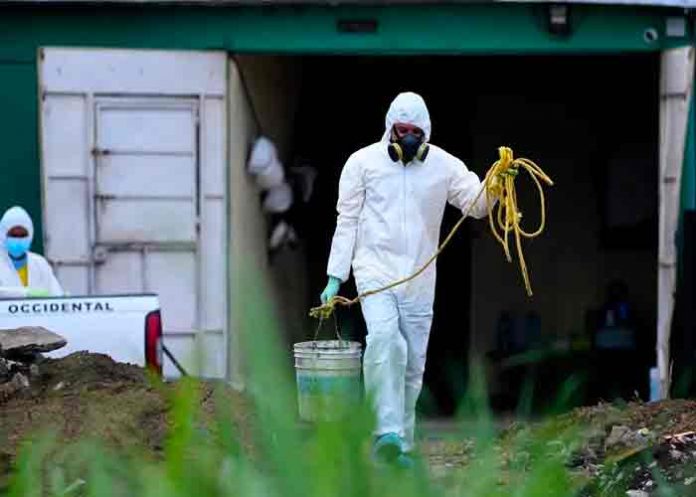 el salvador, fosas, homicidios, criminalidad,