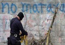 El Salvador: Matan a cabecilla de Pandilla 18