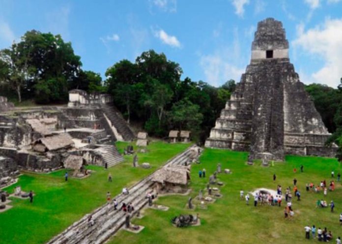 mayas