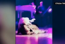 Meat Loaf se desmaya durante concierto de Canadá