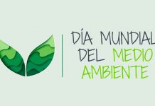 5 de Junio: Día Mundial del Medio Ambiente Reimagina, recupera, restaura, Medio Ambiente, Día Mundial,