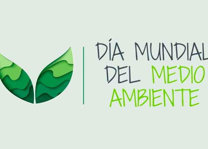 medio Reimagina, recupera, restaura, Medio Ambiente, Día Mundial,