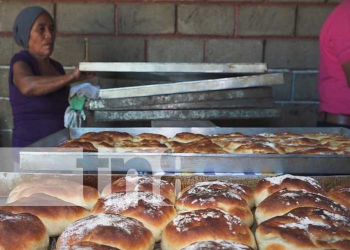 mefcca3 MEFCCA, ingreso, nueva oportunidad, emprendimiento, departamento de Madriz,