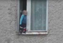 Impactante video de chatel jugando en la ventana de un octavo piso