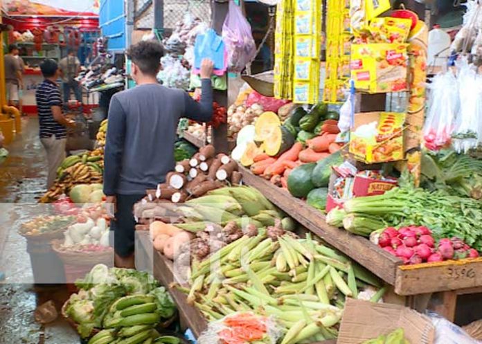 mercado-precios-33 nicaragua, mercados, precios, productos,