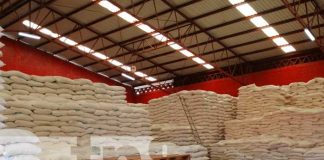 nicaragua, merienda escolar, caribe, familias, distribucion,