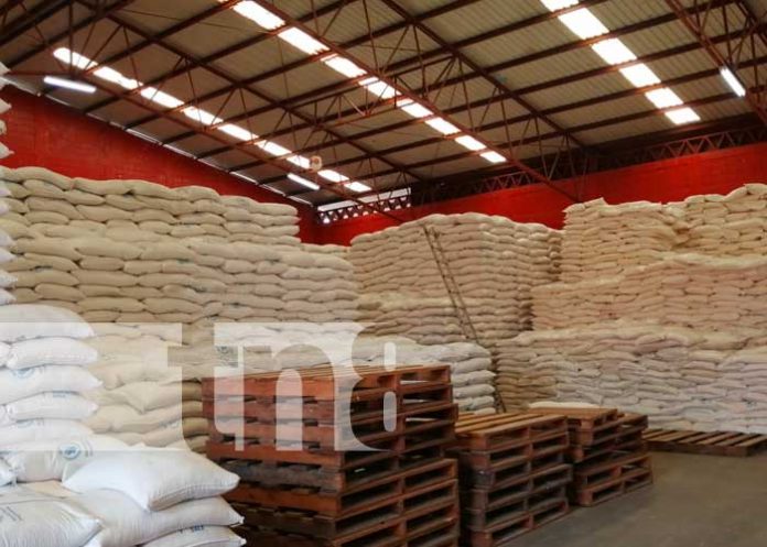 nicaragua, merienda escolar, caribe, familias, distribucion,