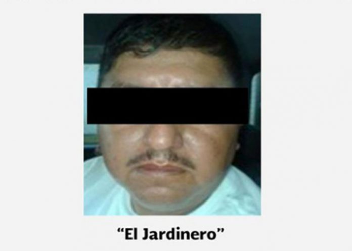 mex1
