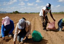 Campesinos de México exigen cambios en política agraria
