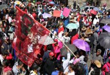 México: CNTE marcha en rechazo a desalojos y reforma educativa