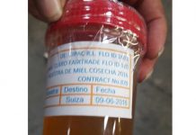 Guatemala: Interceptan heroína camuflada en miel