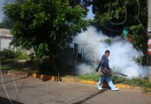 Fumigan viviendas de la Colonia Miguel Bonilla