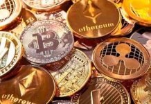 bitcoin, tendencia, multimillonario, economia, viral, christopher williamson,