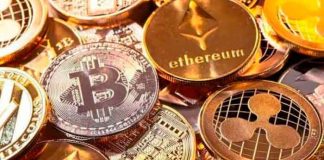 bitcoin, tendencia, multimillonario, economia, viral, christopher williamson,