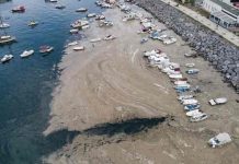 turquia, estambul, moco marino, contaminacion,