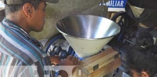 nicaragua, mefcca, molino, madriz, economia familiar,