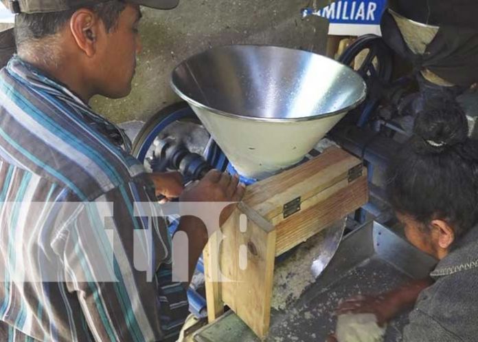 nicaragua, mefcca, molino, madriz, economia familiar,