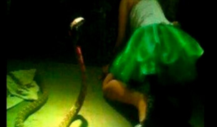 mordida-por-una-cobra