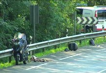 España: Motociclista muere tras chocar contra camión