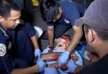 Motociclista se debate entre la vida y la muerte