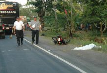 Costa Rica: Motociclista muere arrollado por bus en Matina
