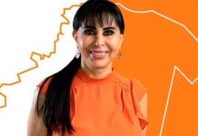 mexico, candidata, alcaldia, asesinato, mitin,