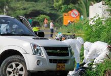 Colombia: Padre muere al evitar que árbol cayera encima de sus hijos colombia, padre, muerte, caida, arbol, hijos, rama,