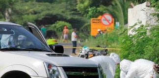 colombia, padre, muerte, caida, arbol, hijos, rama,