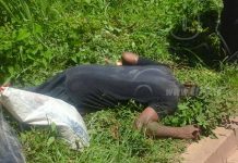 Hombre se desmayó y murió ahogado