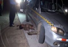 Peaton fallece arrollado en Carretera Vieja a León