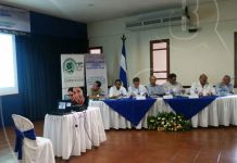 Alta participación de la mujer en empleo formal