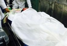 Honduras: Se rinden ante la muerte, bestia anda libre