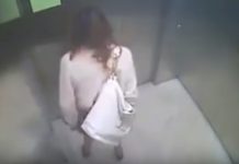 Mujer defeca en un ascensor y luego se va como si nada