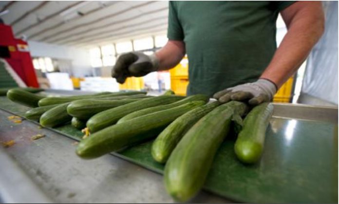 murio-ahogada-con-pepino