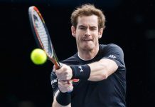 Murray elimina a Ferrer y avanza a la final en París