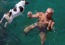 Perro se lanza de acantilado siguiendo a su dueño