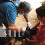 Realizan jornada veterinaria en Nandaime nicaragua, nandaime, jornada, veterinarios, animales,