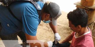nicaragua, nandaime, jornada, veterinarios, animales,