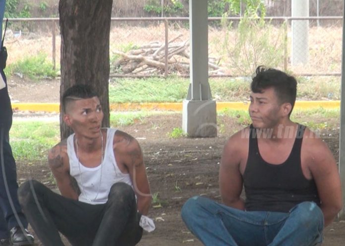 narco1