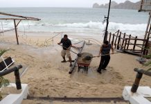 Newton toca tierra en México, se reduce a tormenta tropical