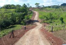 Aperturan caminos en comunidades de Nueva Guinea