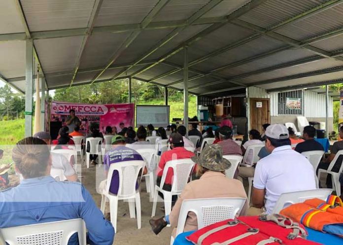 nicaragua-acuicola-1 nicaragua, acuicola, peces, economia familiar, jinotega,