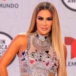 Estas son las condiciones de Ninel Conde en caso de abrir OnlyFans mexico, actriz, ninel conde, onlyfans, fotos,