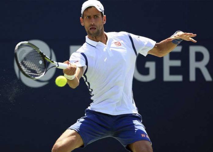 novak1