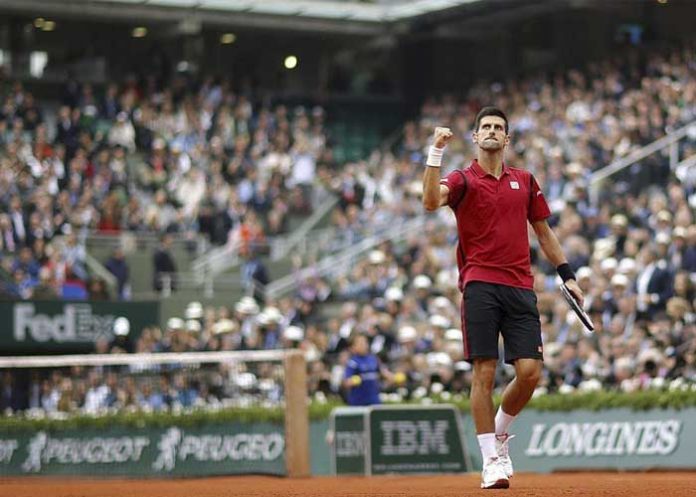 novak2